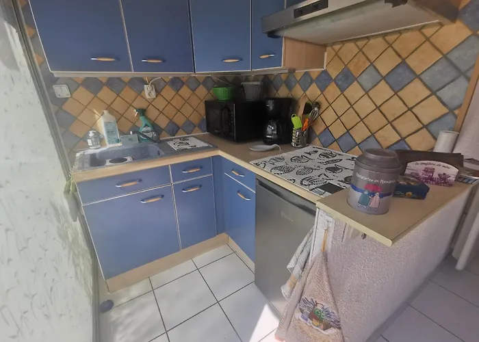 5039 - Cap D'agde Joli T3 Parking Piscine Clim Et Wifi Rez De Chaussee * 阿格德